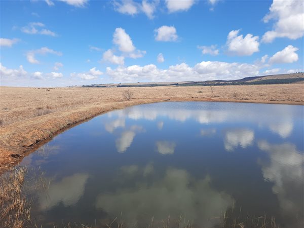 1.3 ha Land available in Dullstroom