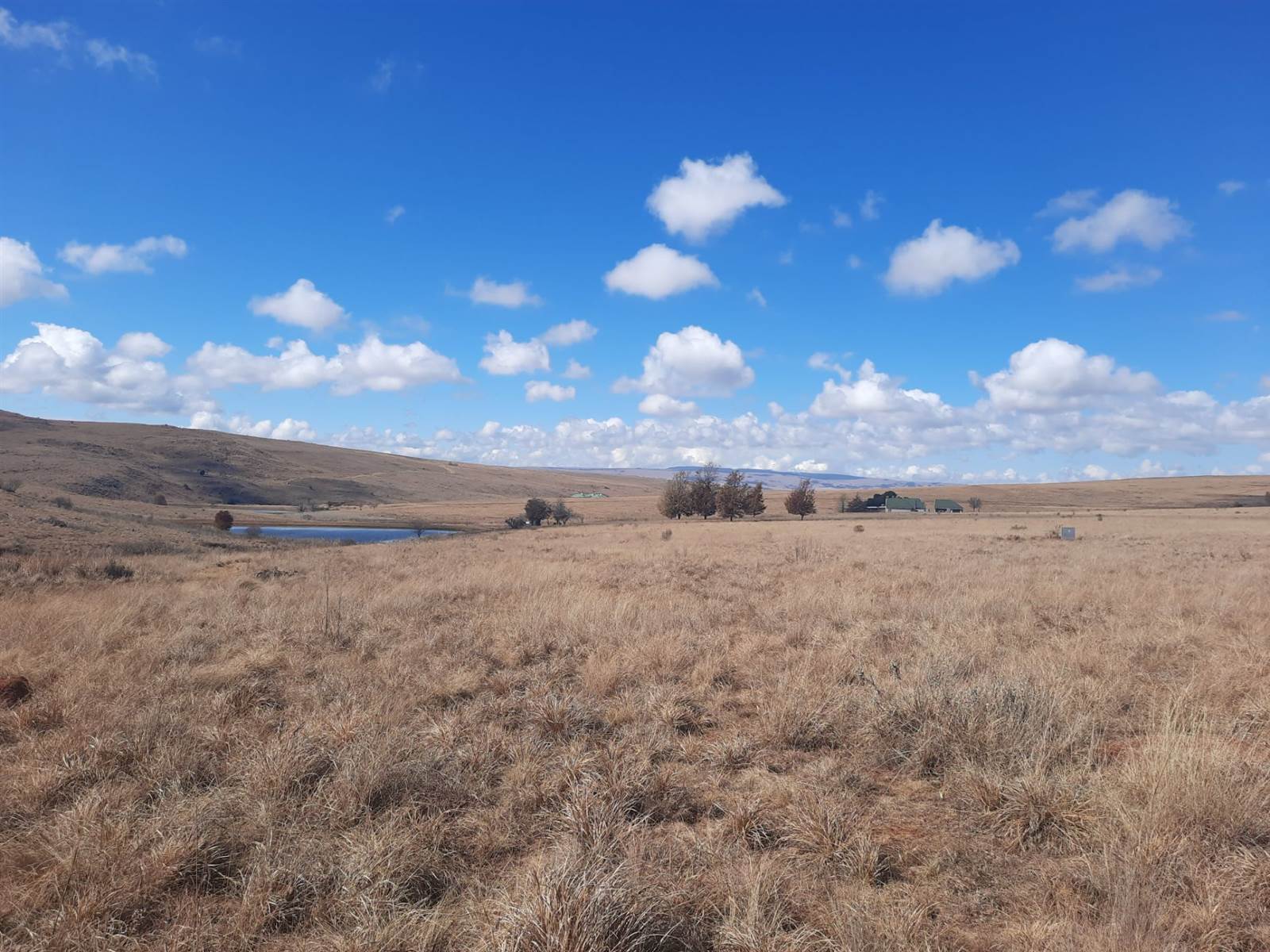 1.3 ha Land available in Dullstroom photo number 8
