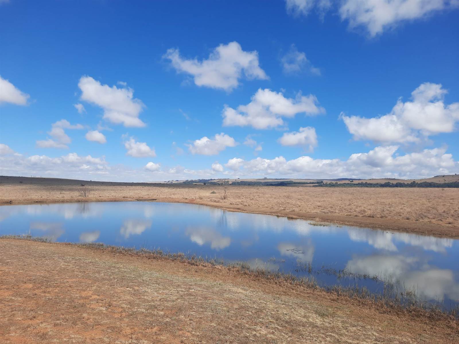 1.3 ha Land available in Dullstroom photo number 5