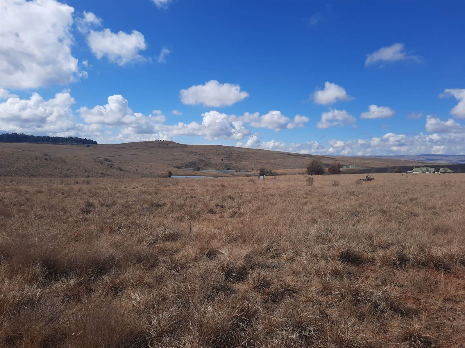 1.3 ha Land available in Dullstroom photo number 9