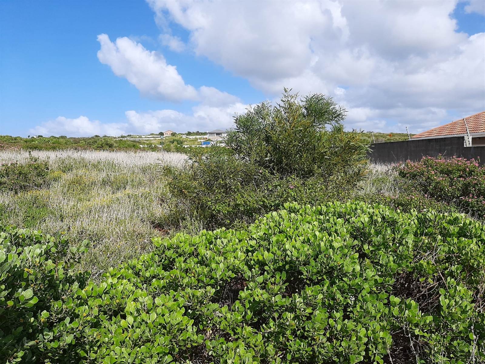 400 m² Land available in Port Alfred photo number 5