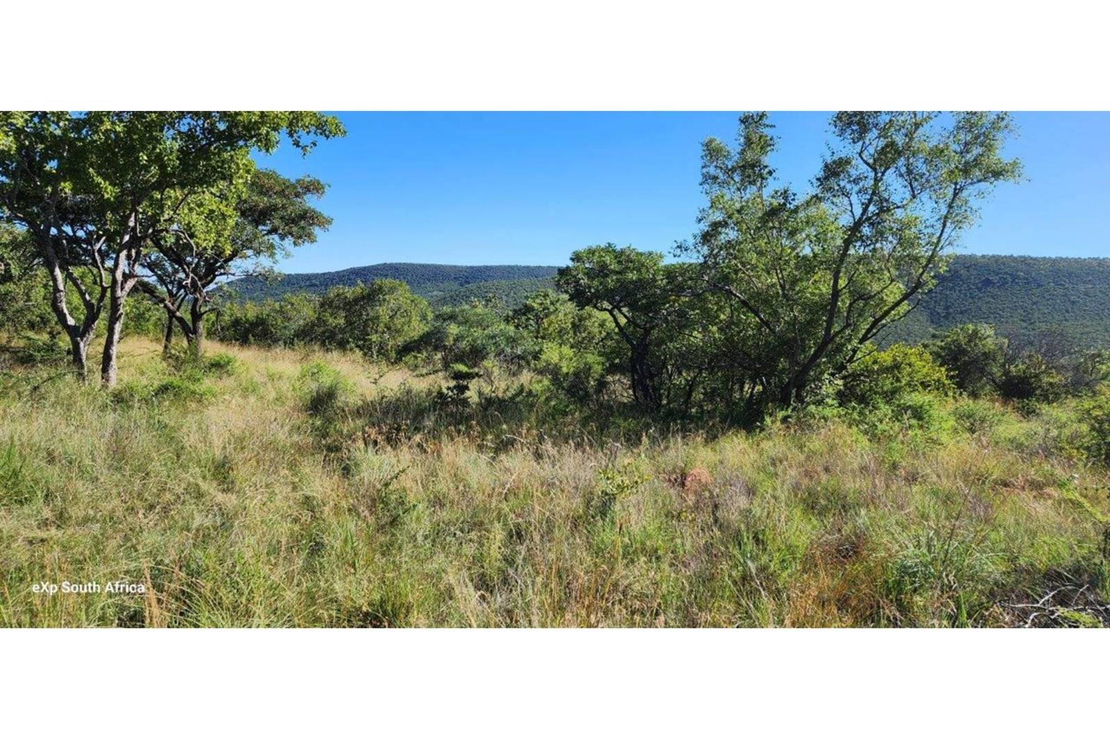 2500 m² Land available in Zwartkloof Private Game Reserve photo number 8
