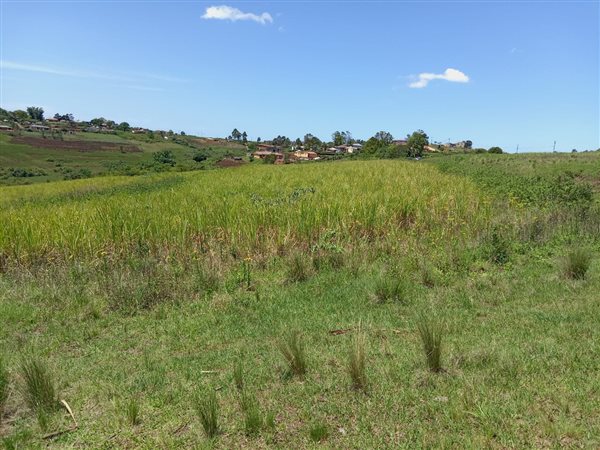 160 m² Land available in Umbumbulu