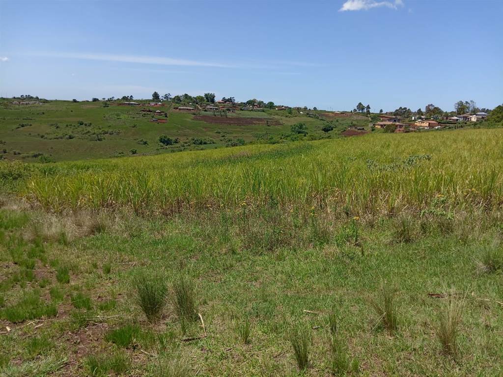 160 m² Land available in Umbumbulu photo number 3