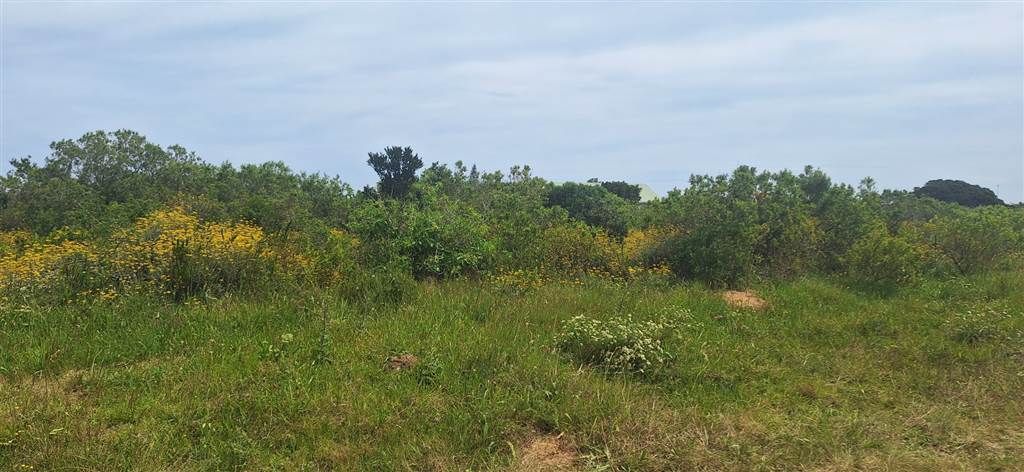 1138 m² Land available in Riversbend photo number 3