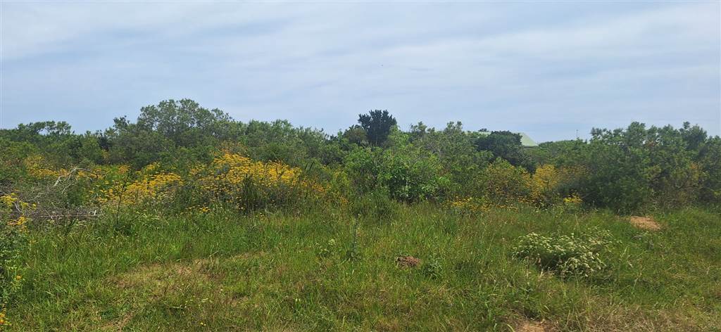 1138 m² Land available in Riversbend photo number 1
