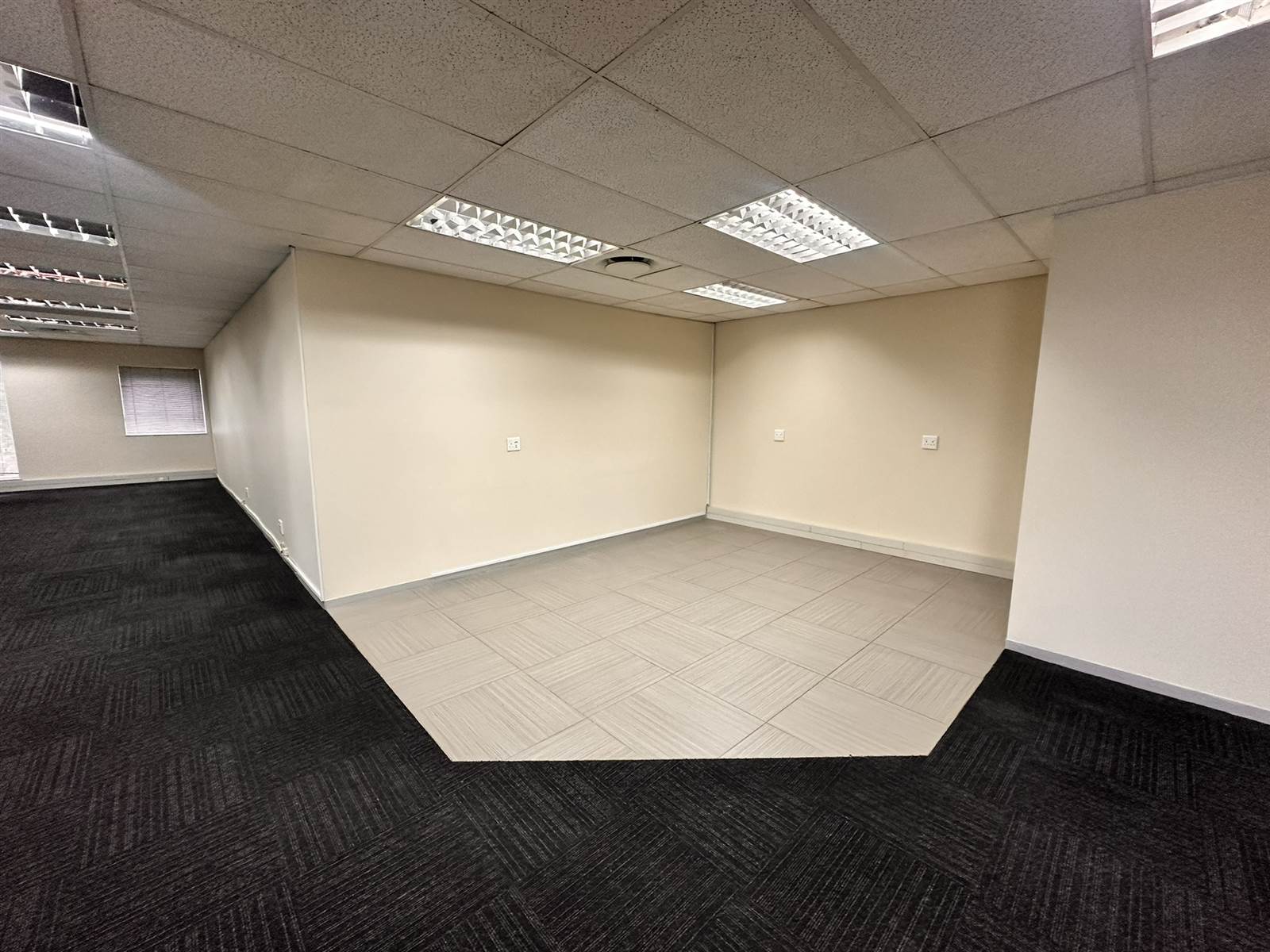 253  m² Commercial space in Houghton Estate photo number 9