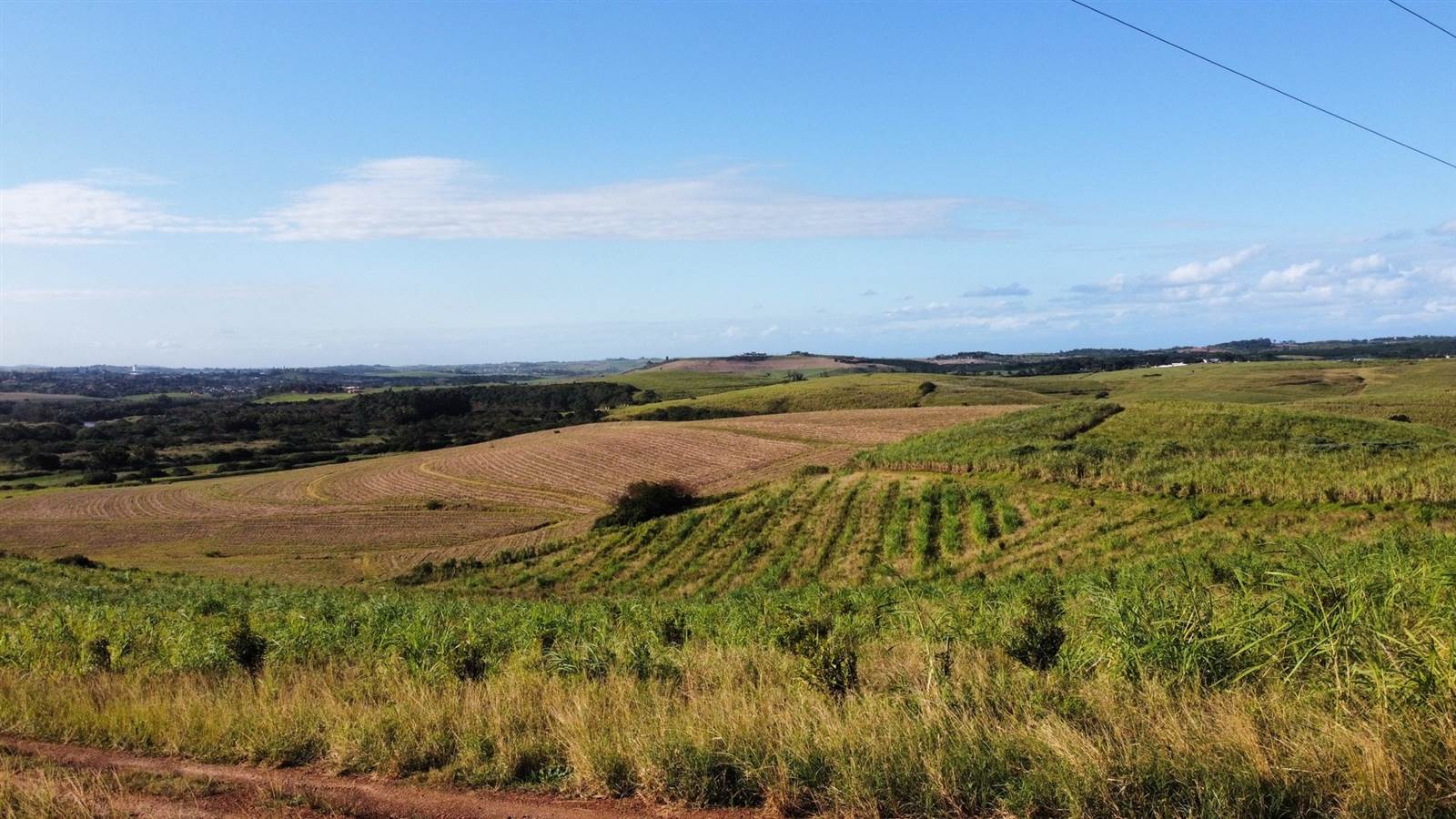 5.1 ha Farm in Ballito photo number 19