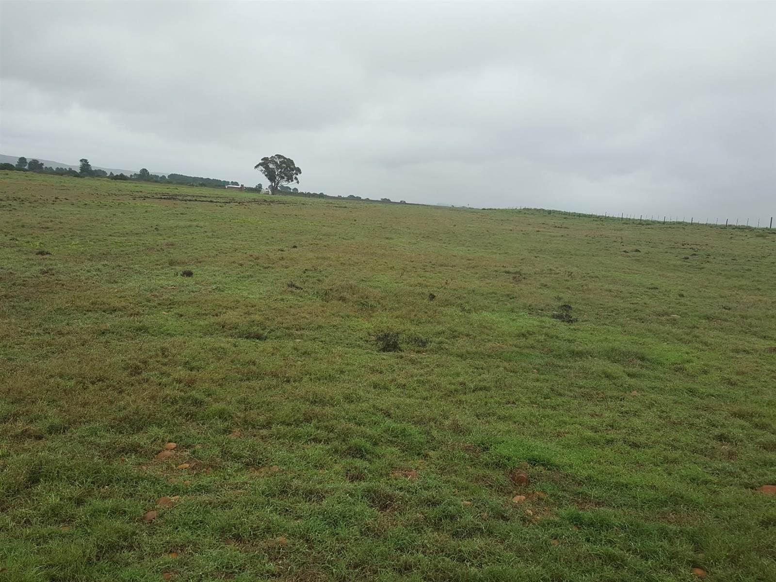 126 ha Farm in Riversdale photo number 1