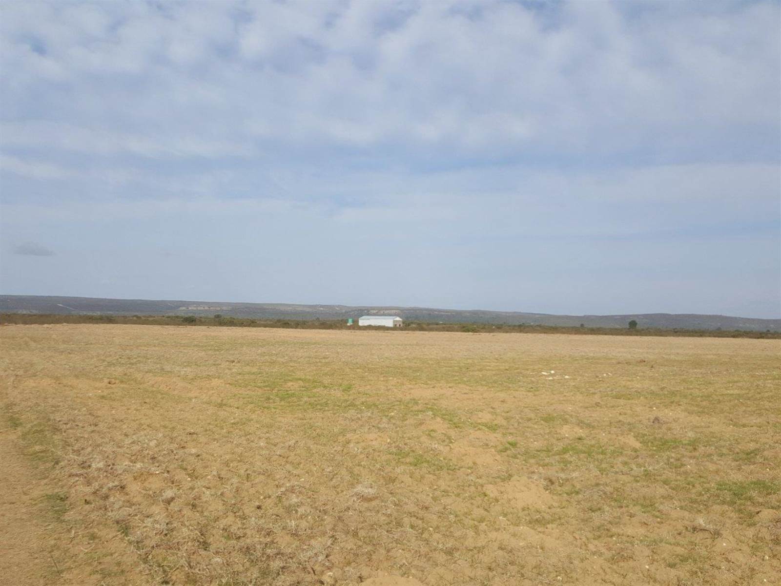 126 ha Farm in Riversdale photo number 8