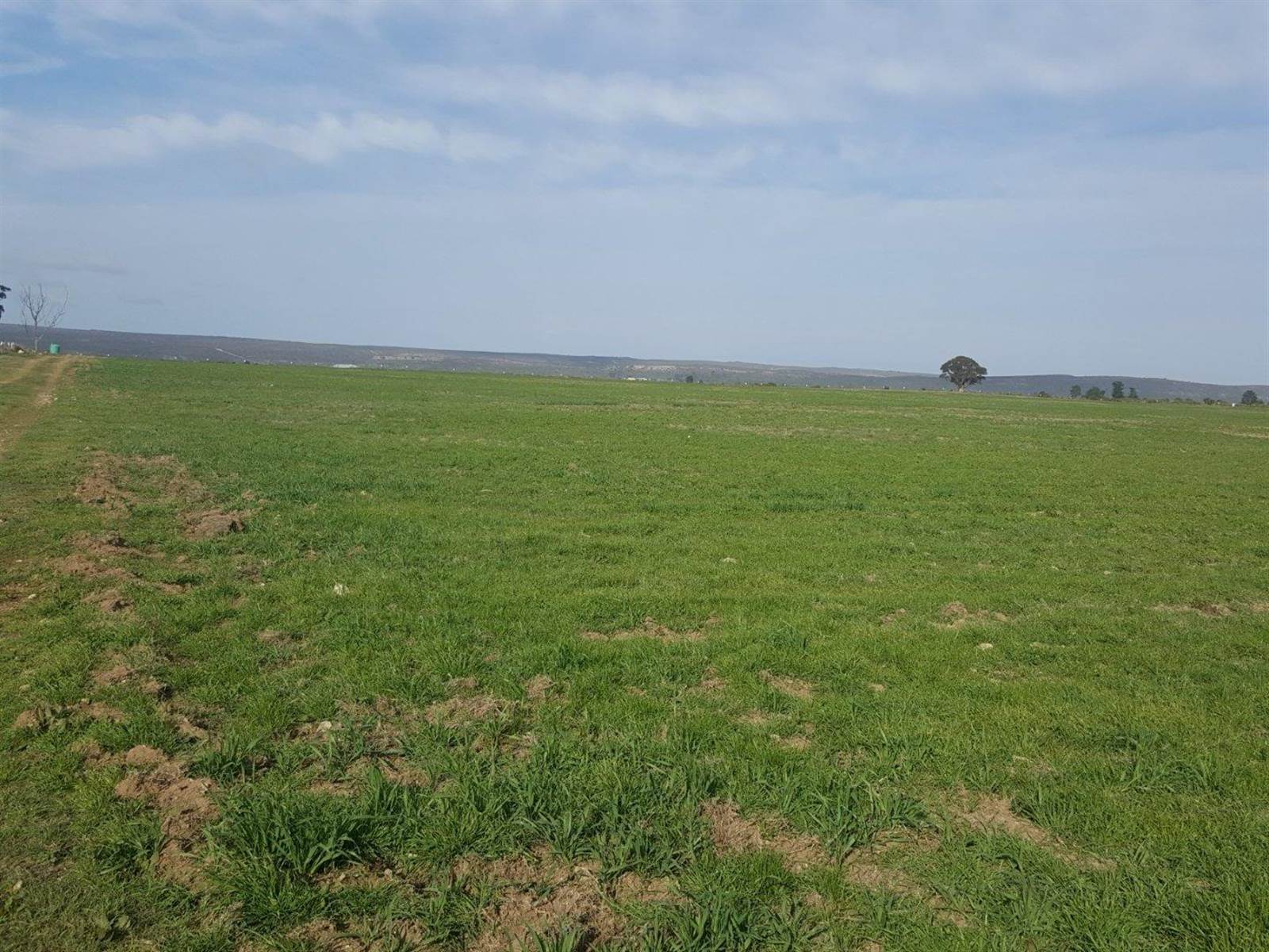 126 ha Farm in Riversdale photo number 5
