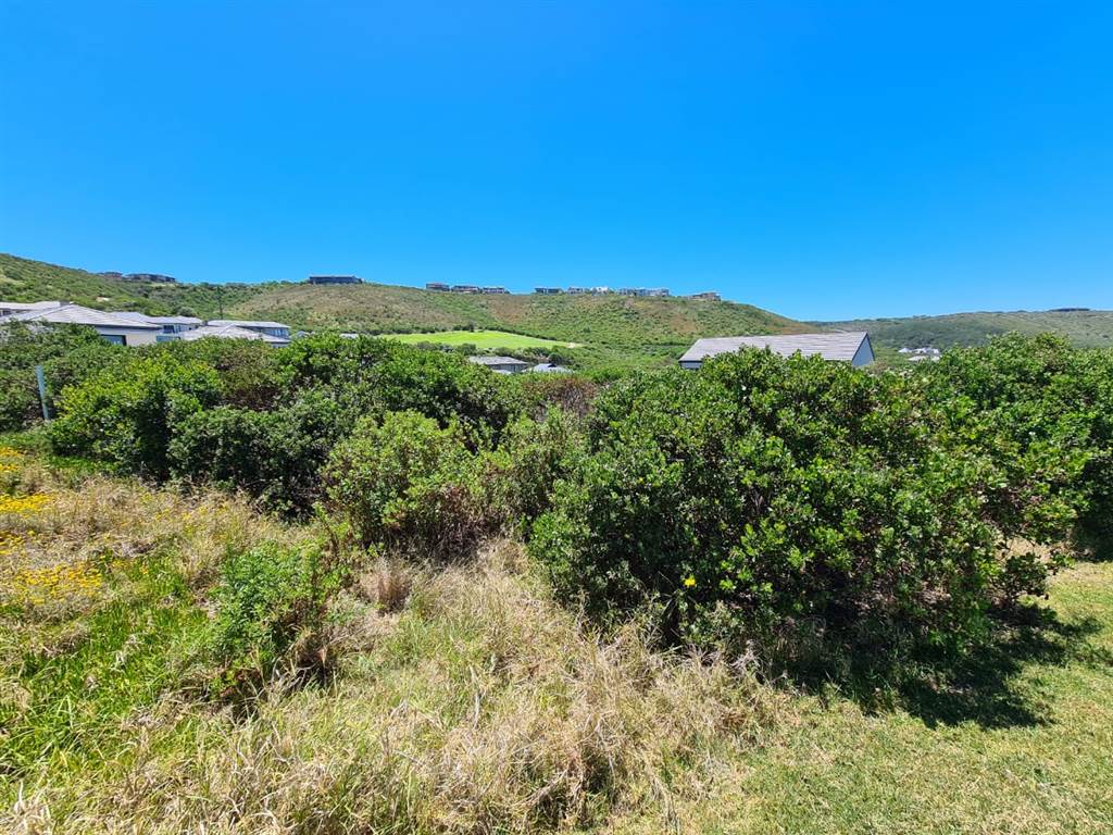 1106 m² Land available in Pezula Golf Estate photo number 6