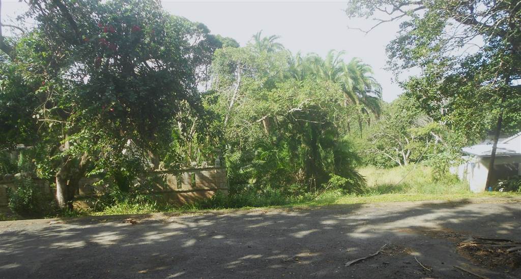 2273 m² Land available in Southbroom photo number 5
