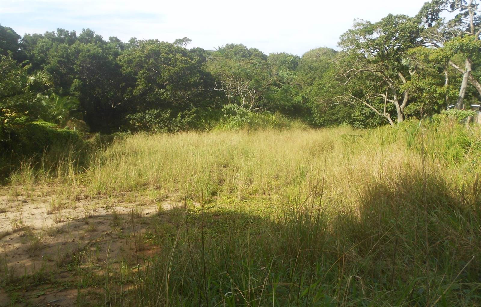 2273 m² Land available in Southbroom photo number 4