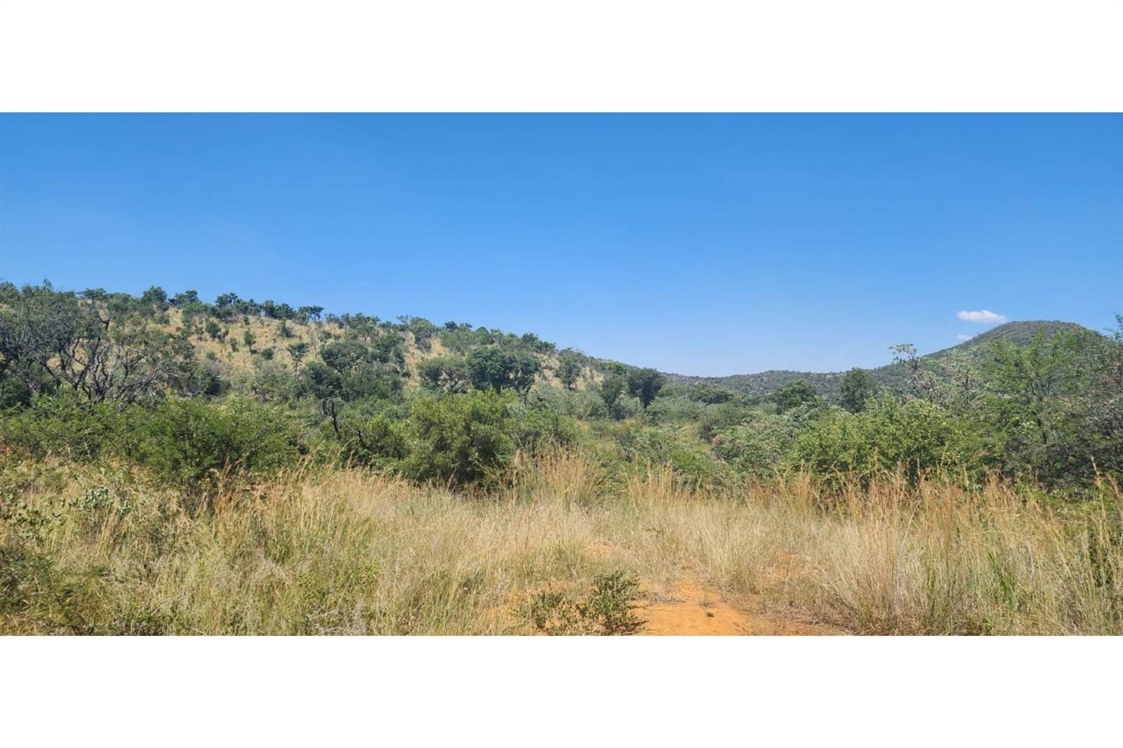 2500 m² Land available in Zwartkloof Private Game Reserve photo number 1