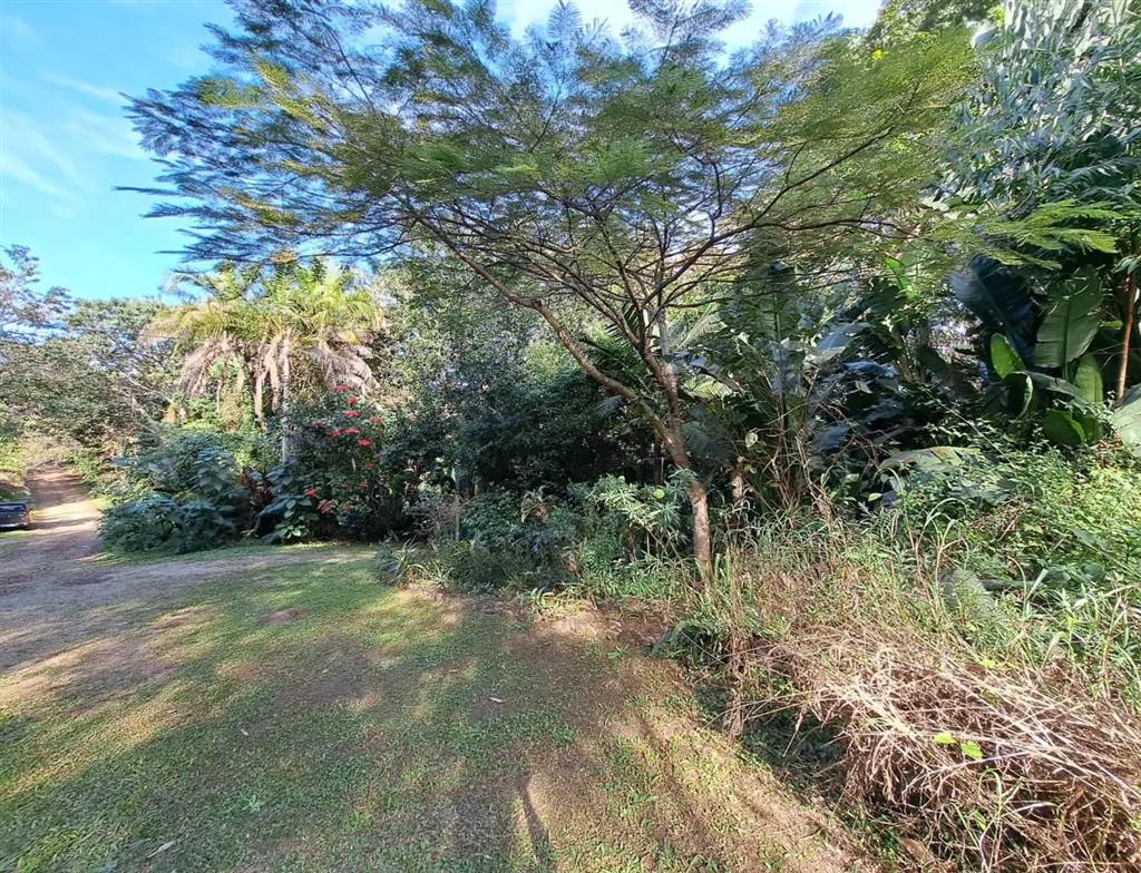 1032 m² Land available in Leisure Bay photo number 10