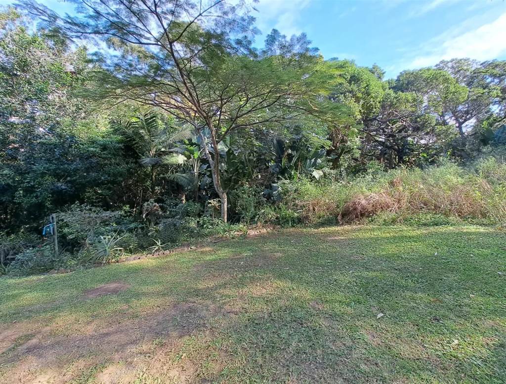 1032 m² Land available in Leisure Bay photo number 4