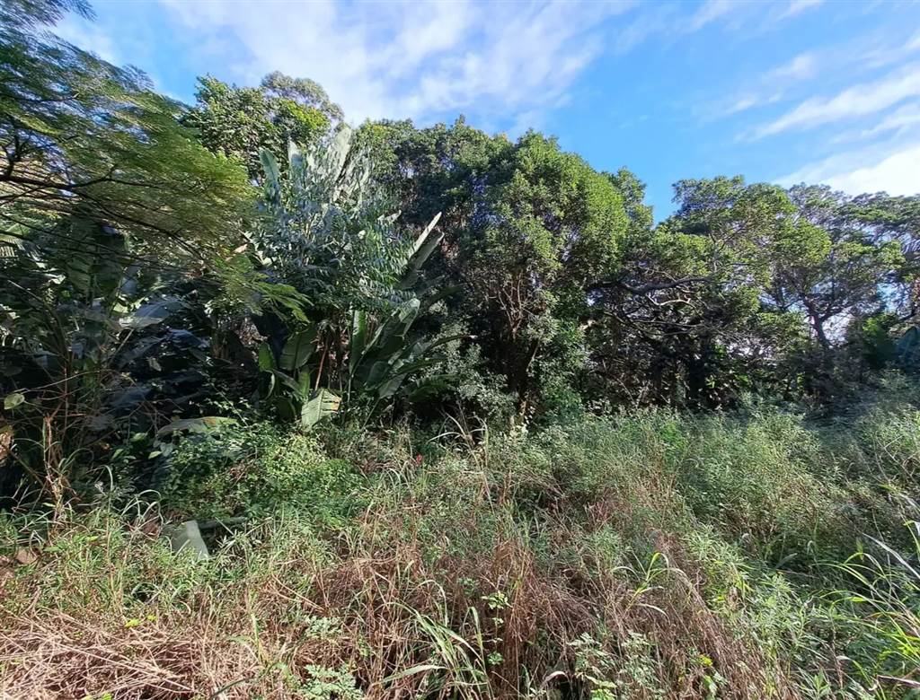 1032 m² Land available in Leisure Bay photo number 7