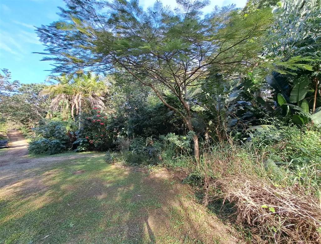 1032 m² Land available in Leisure Bay photo number 9