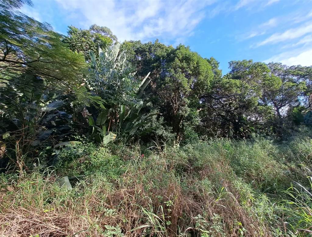 1032 m² Land available in Leisure Bay photo number 13