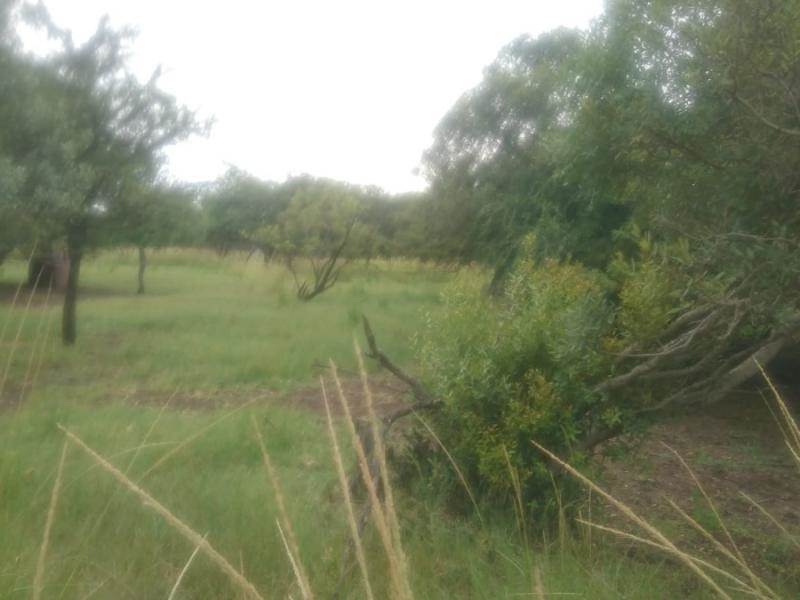 4 ha Land available in The Orchards photo number 16