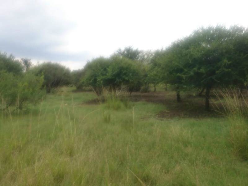 4 ha Land available in The Orchards photo number 13