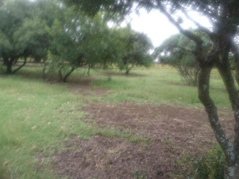 4 ha Land available in The Orchards photo number 11