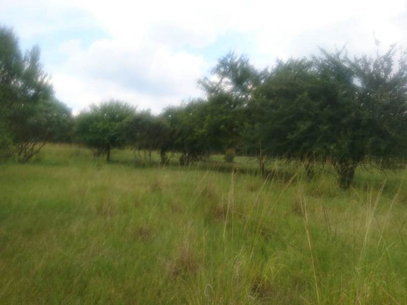 4 ha Land available in The Orchards photo number 21