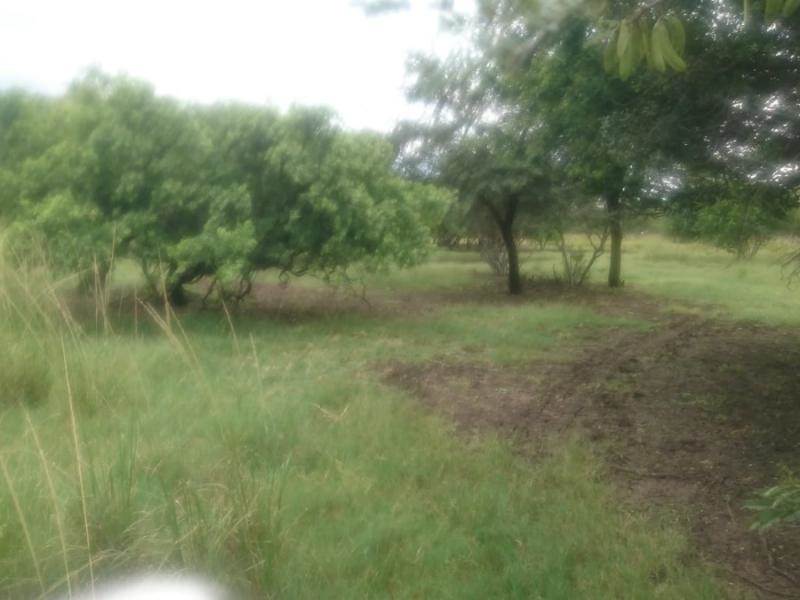 4 ha Land available in The Orchards photo number 22