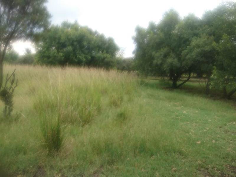 4 ha Land available in The Orchards photo number 18