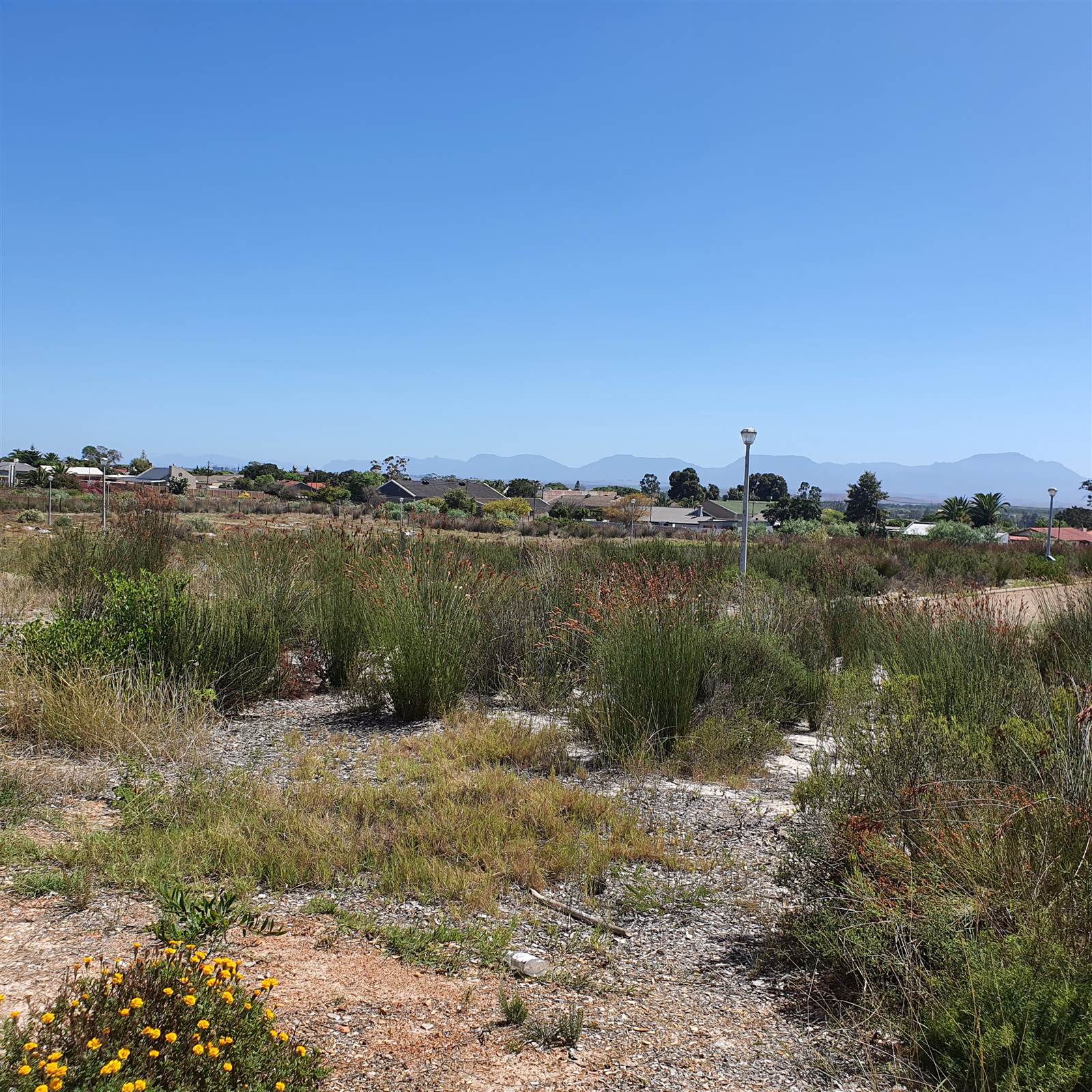 210 m² Land available in Albertinia photo number 2