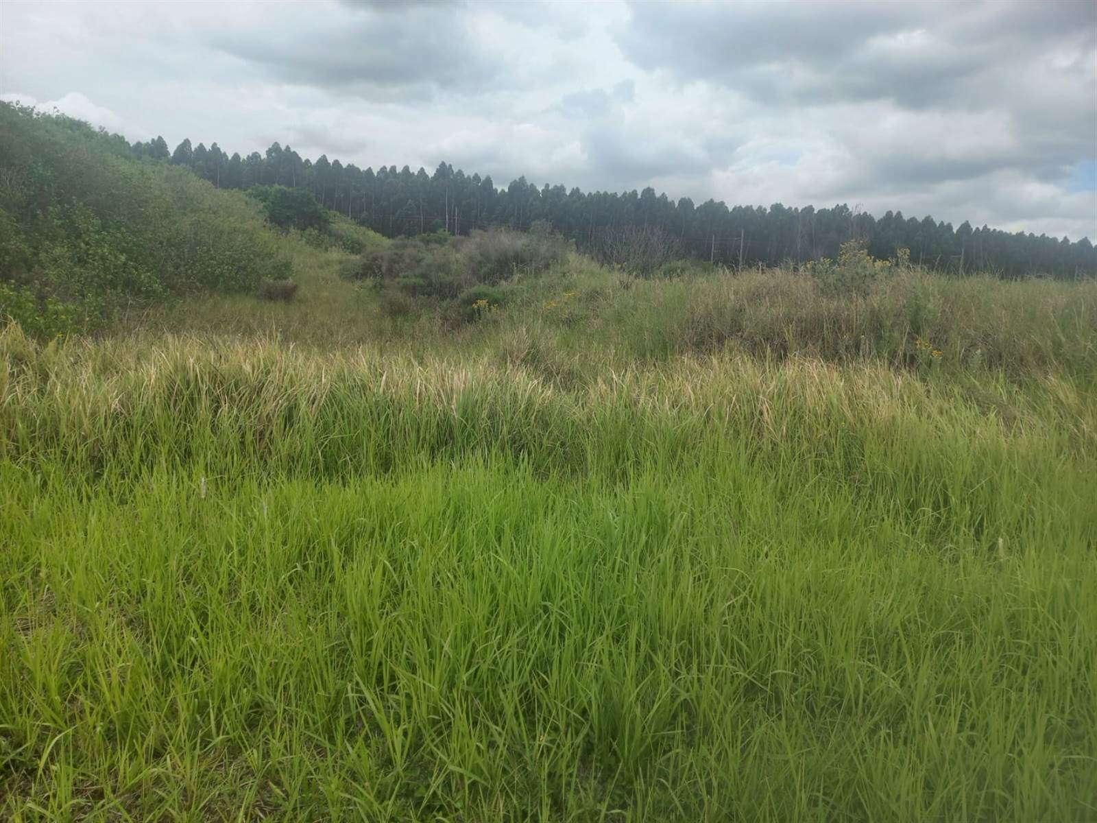 7123 m² Land available in Richards Bay Central photo number 1