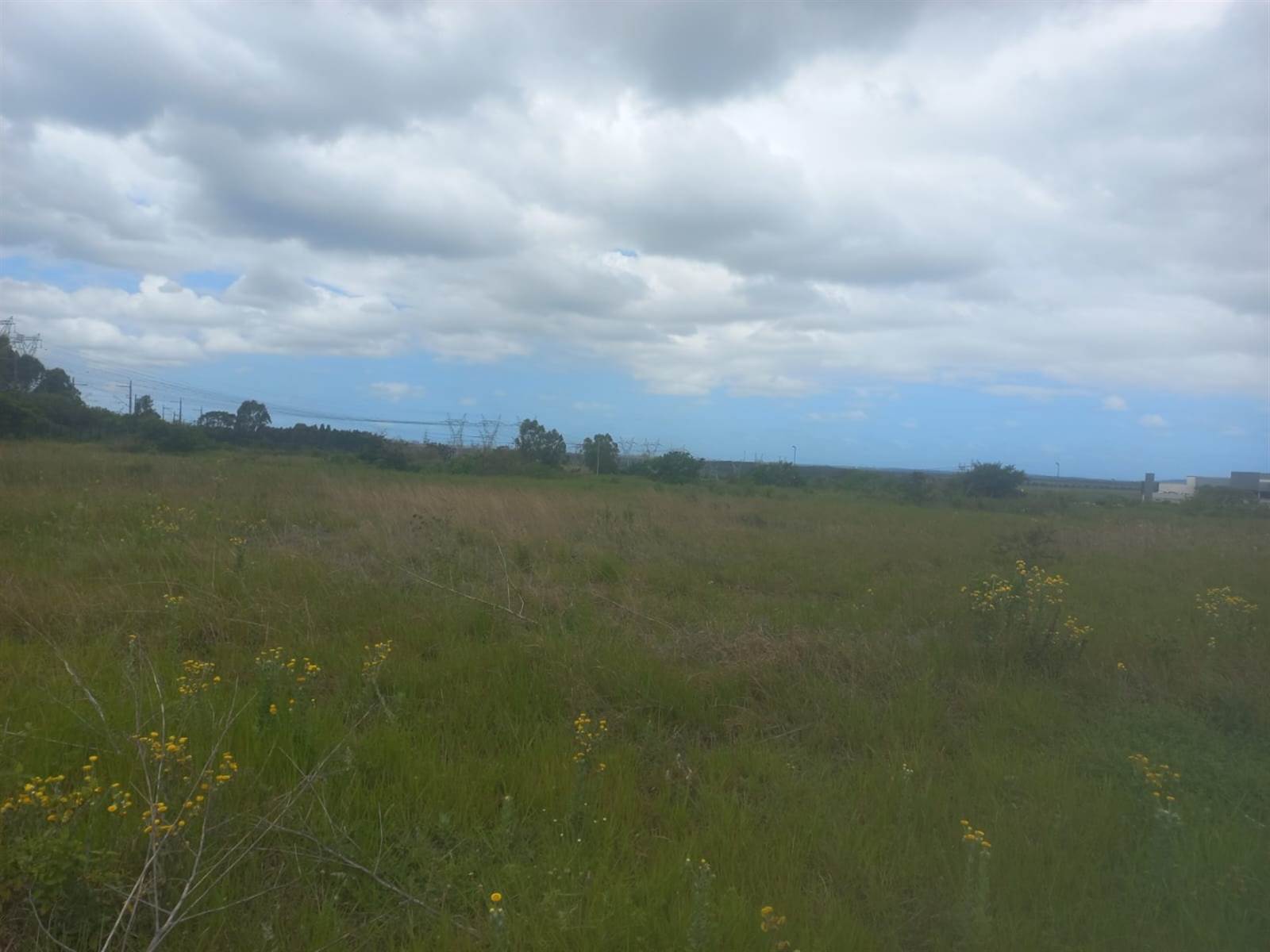 7123 m² Land available in Richards Bay Central photo number 6