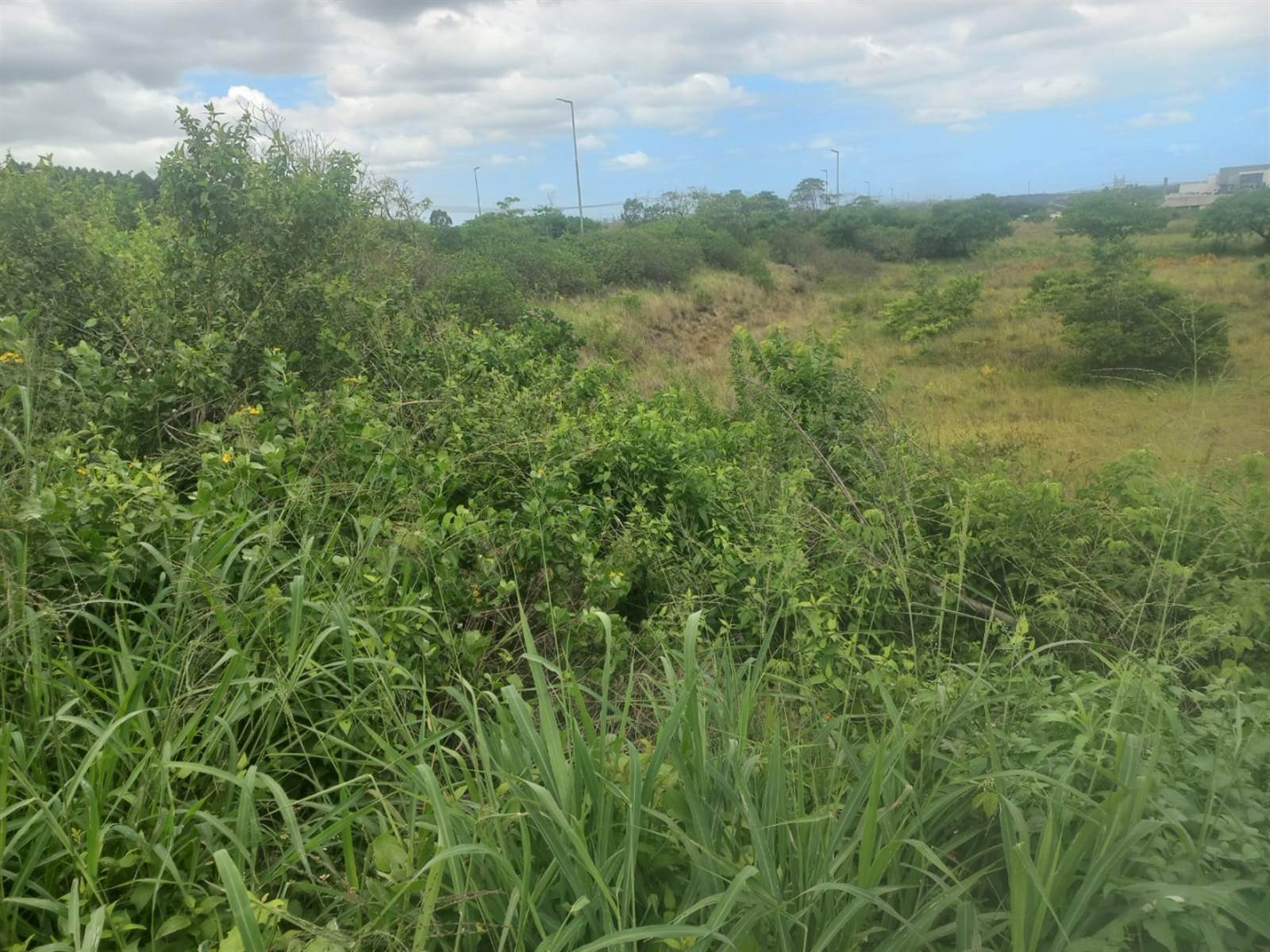 7123 m² Land available in Richards Bay Central photo number 5