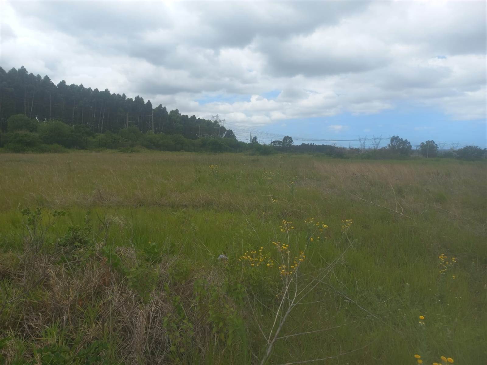 7123 m² Land available in Richards Bay Central photo number 8