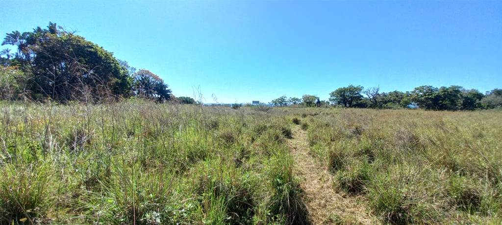 1.5 ha Land available in Shelly Beach photo number 11