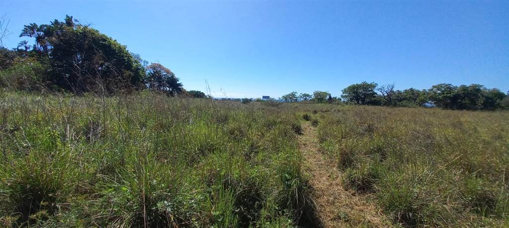 1.5 ha Land available in Shelly Beach photo number 10