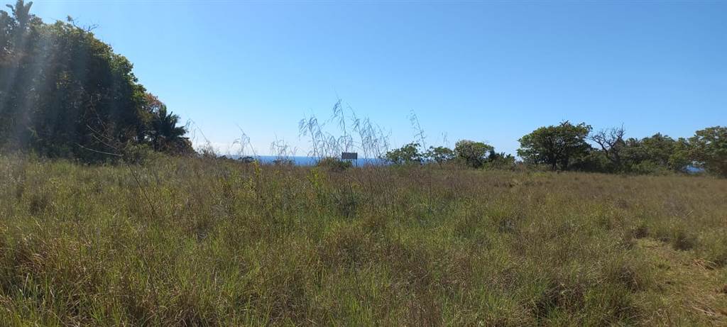 1.5 ha Land available in Shelly Beach photo number 9