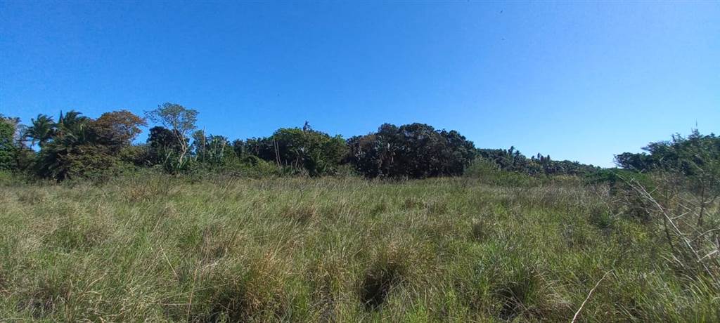 1.5 ha Land available in Shelly Beach photo number 8