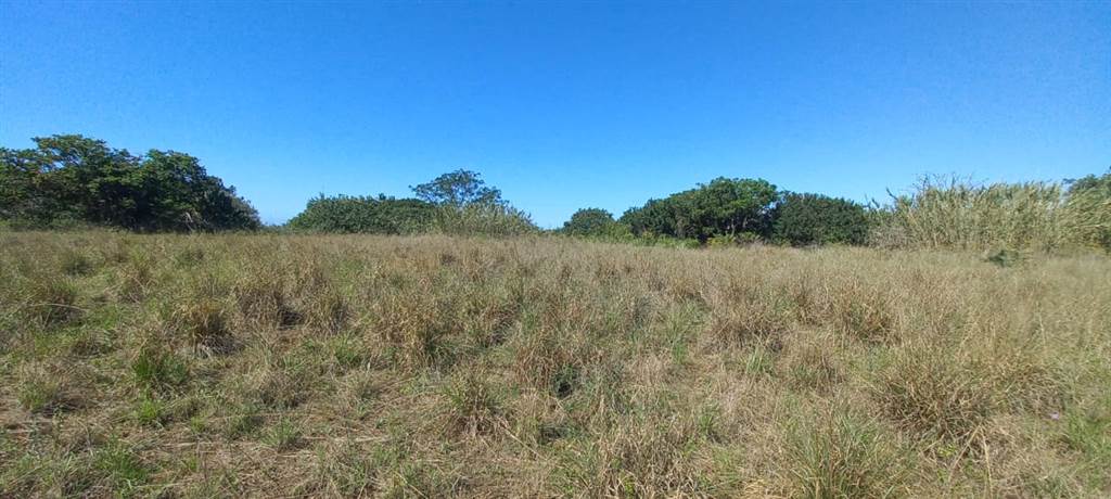 1.5 ha Land available in Shelly Beach photo number 12