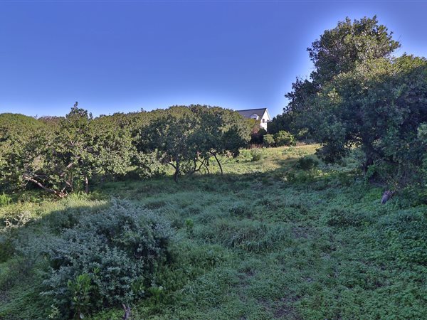 635 m² Land