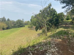 6070 m² Land available in Richmond