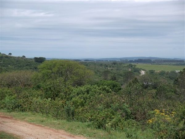 2012 m² Land available in Bathurst and Surrounds
