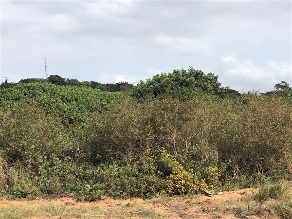 1683 m² Land available in Sheffield Beach