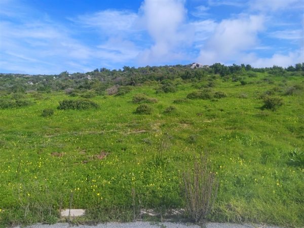 553 m² Land