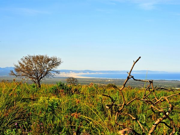 3 116 m² Land 3 116 m² Land