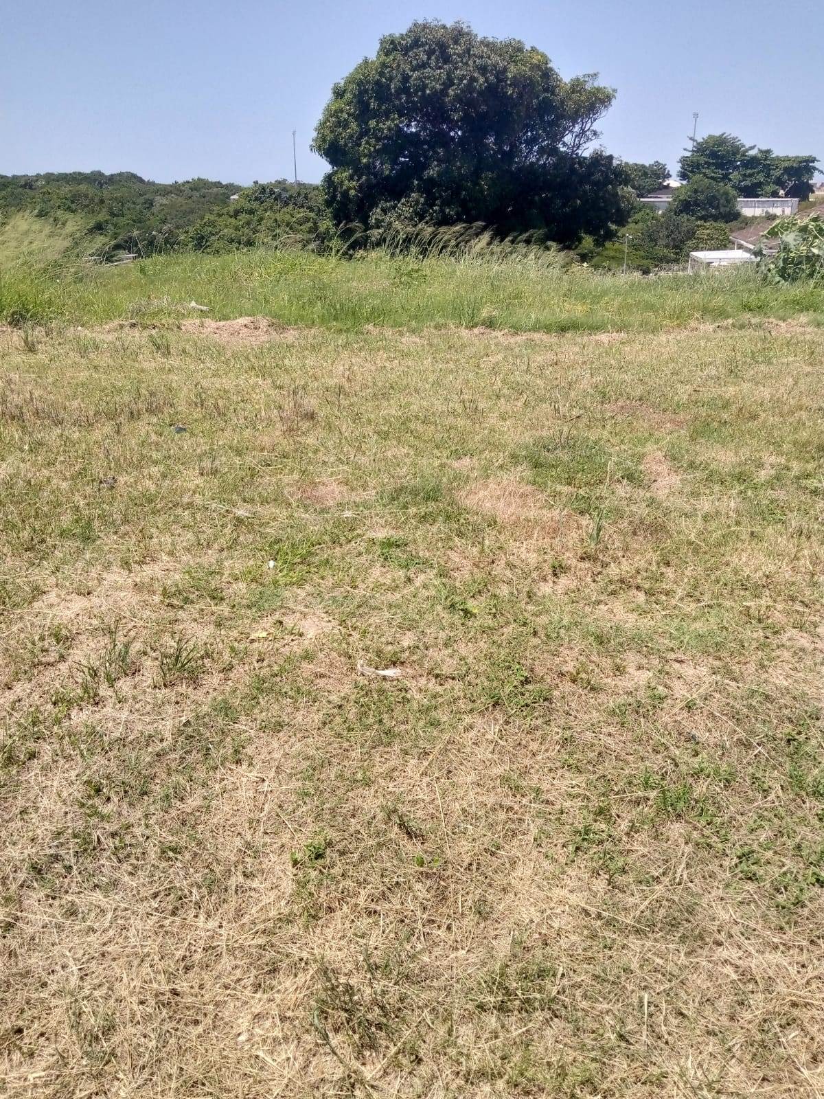 1050 m² Land available in Birdswood photo number 1