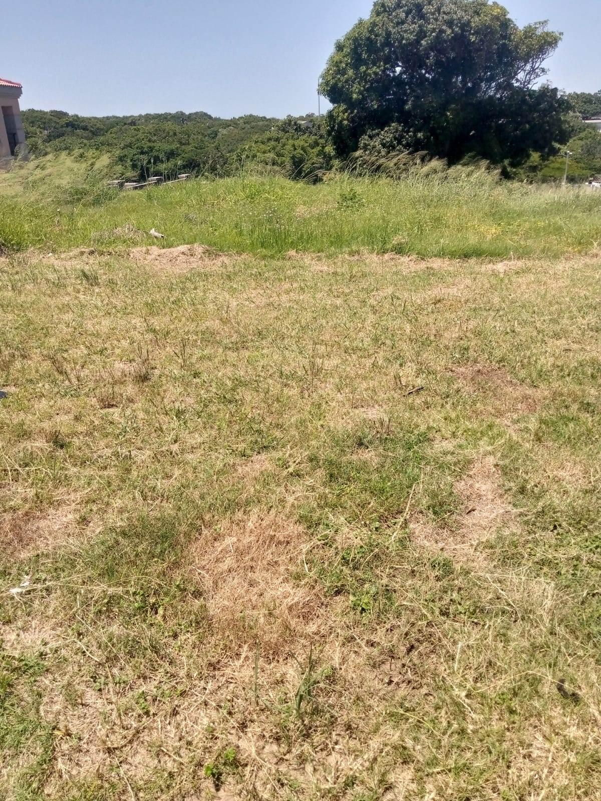 1050 m² Land available in Birdswood photo number 3