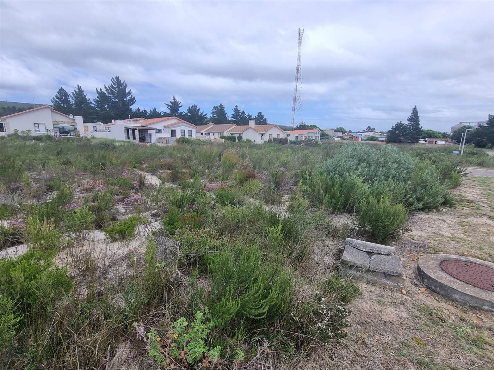 225 m² Land available in Albertinia photo number 4