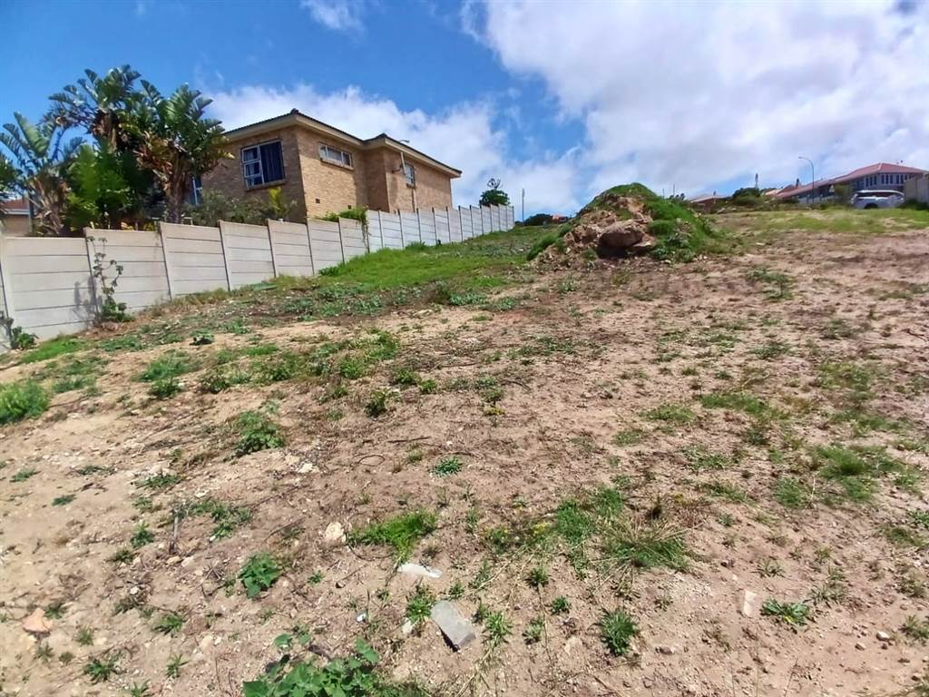 770 m² Land available in Dana Bay photo number 6